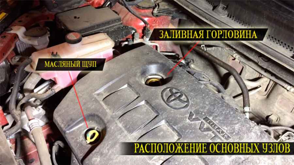 Как заменить масло в двигателе Toyota Rav4 своими руками?